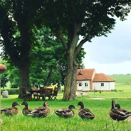Taubenkobel Gross Wokern
