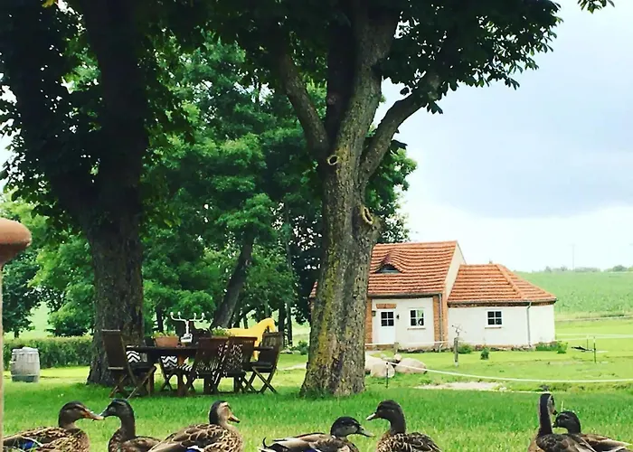 Taubenkobel
